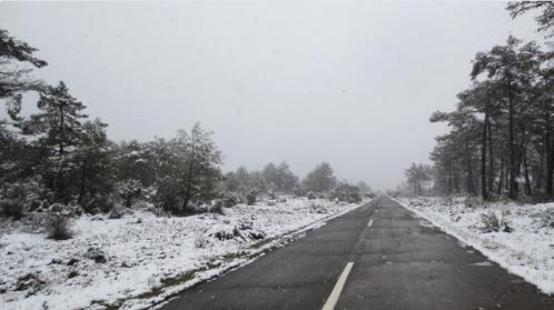nieve valencia