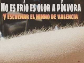 polvora