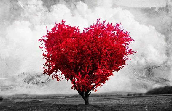 amor-1