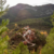 Penyagolosa, el gran tesoro natural del interior de Castellón